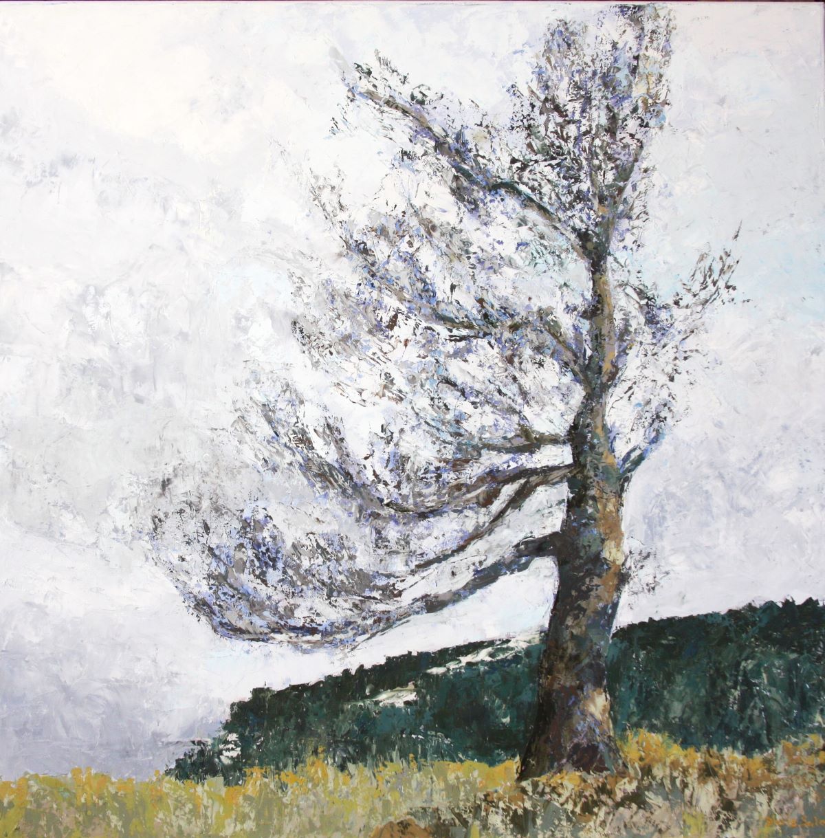 Oeuvres de Doris Salomon